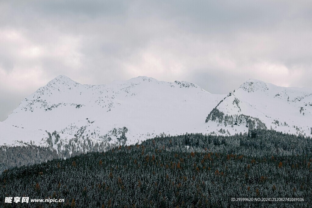 雪山  