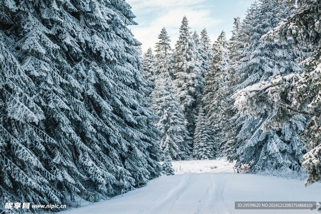 雪山