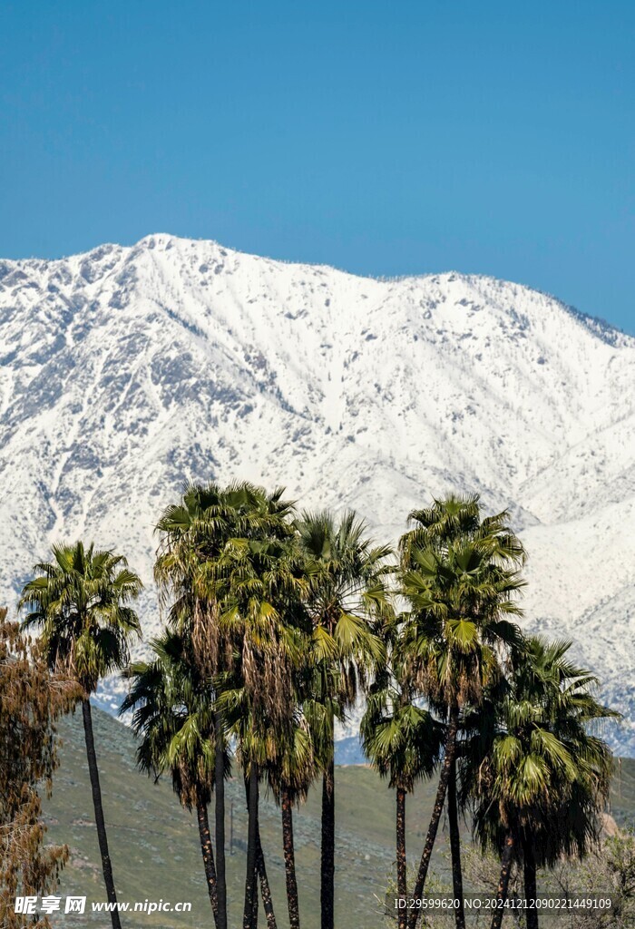 雪山