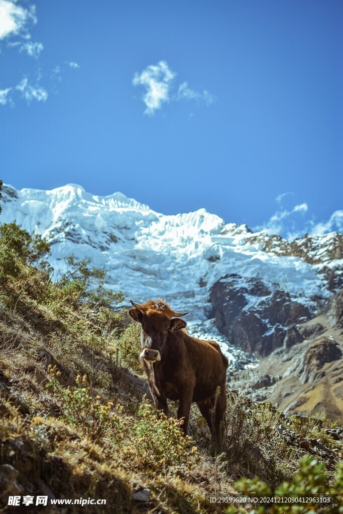 雪山