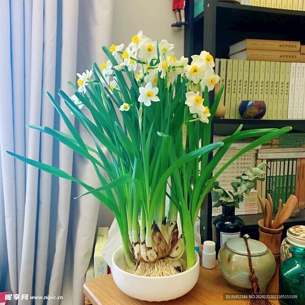 水仙花
