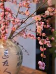 梅花