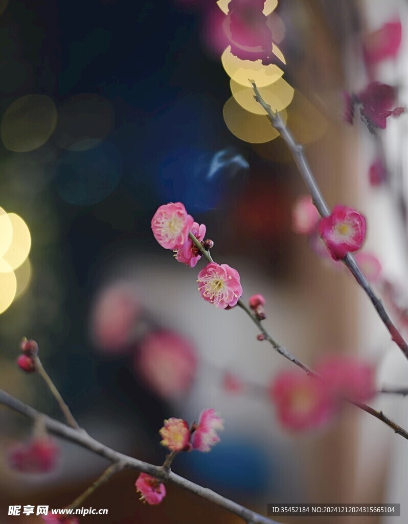 梅花