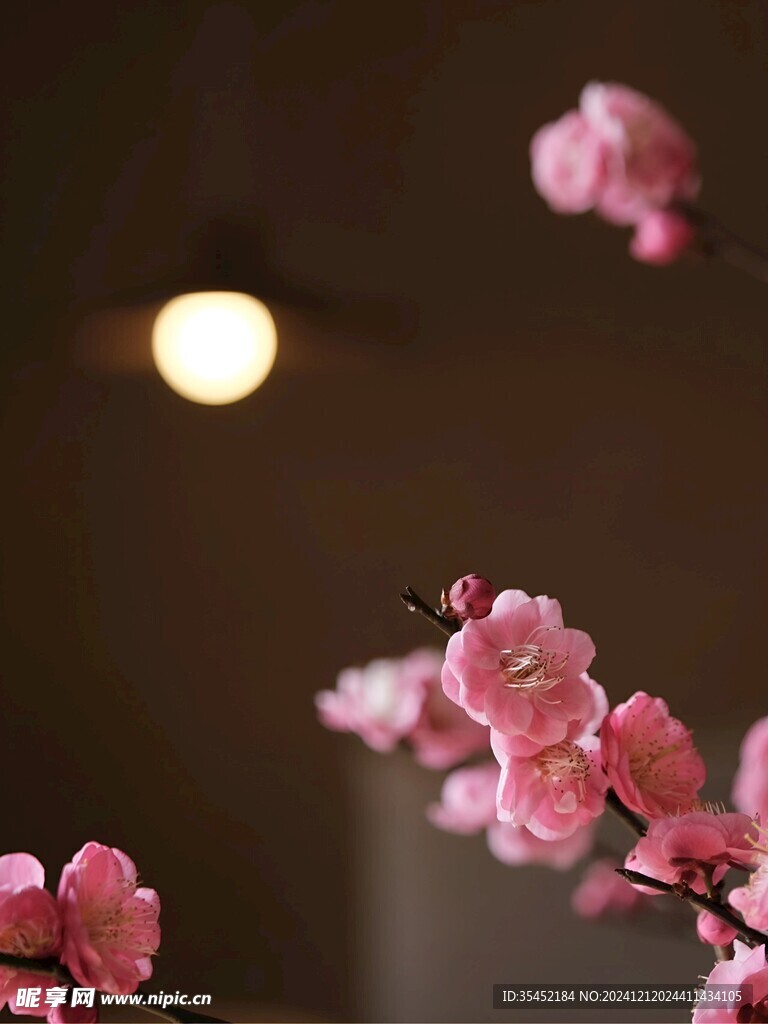 梅花