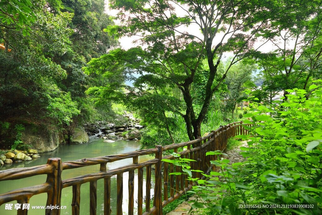 山青水秀好风景