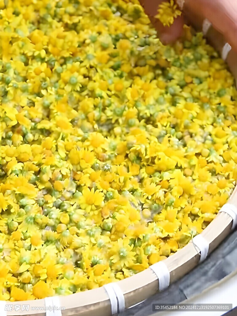 菊花茶 