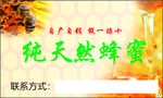蜂蜜 名片