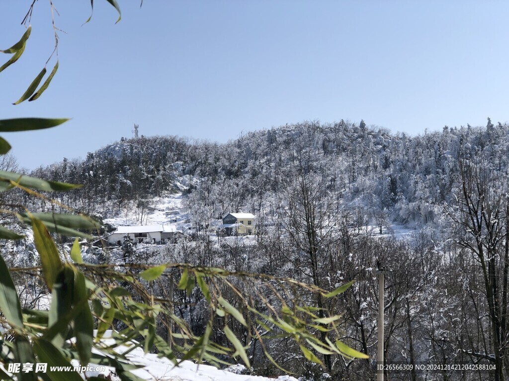 雪景