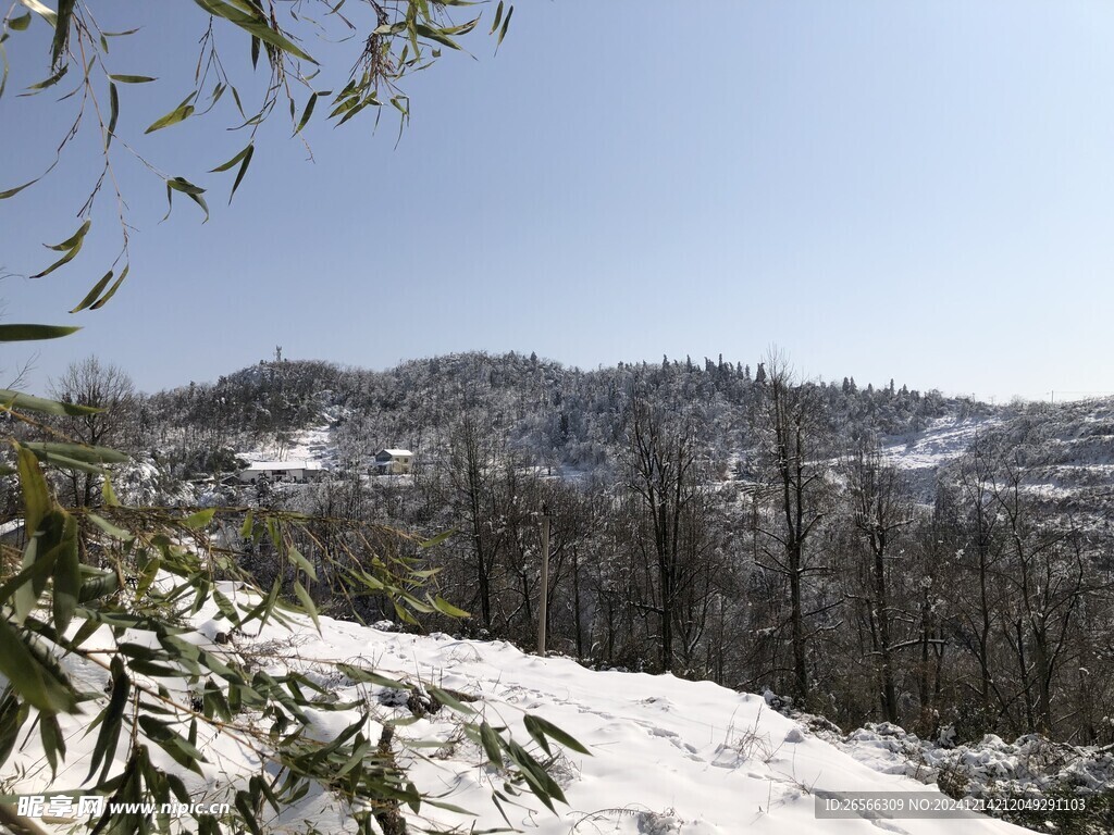 雪景