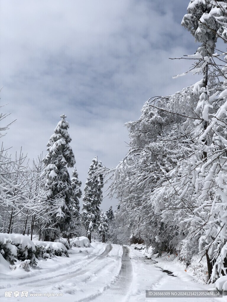 冬日美景