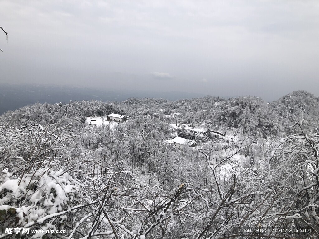 雪天美景