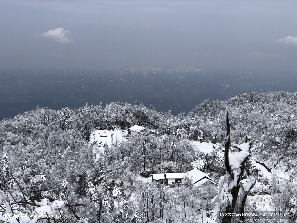 冬日景色 雪天风景