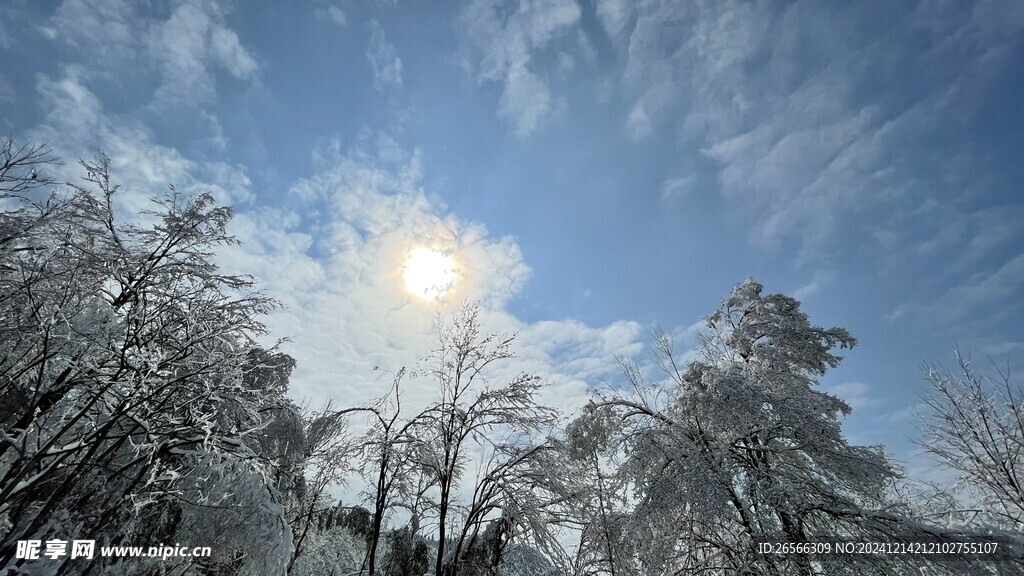 雪景