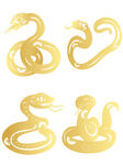 蛇年插画