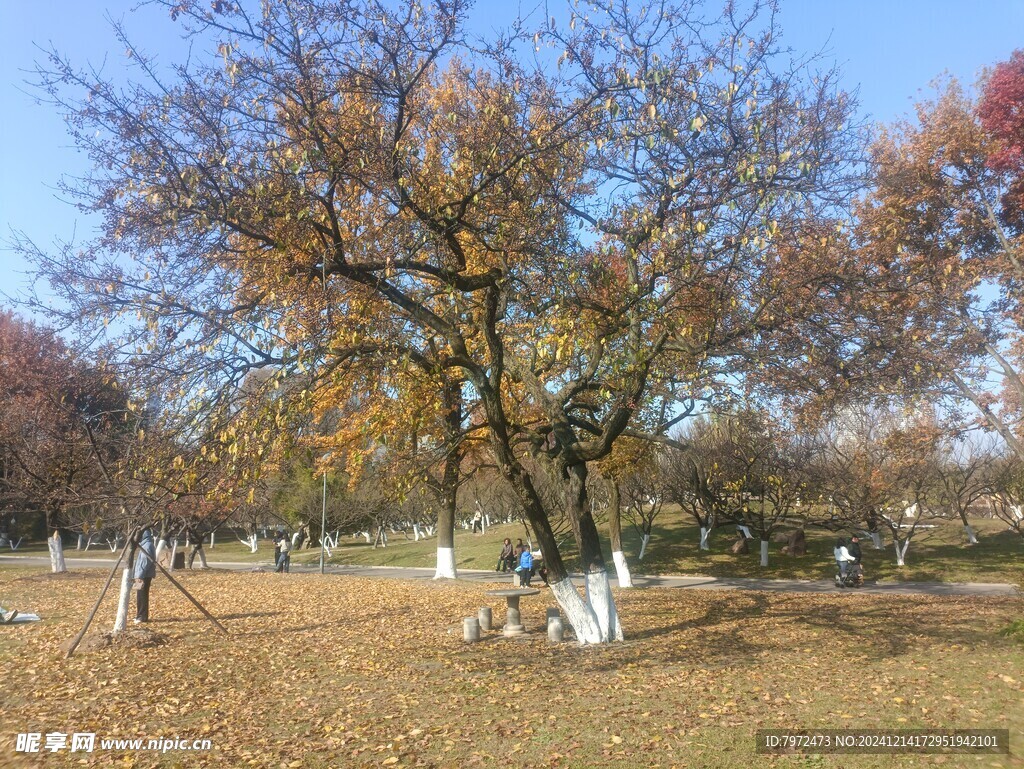 园林景观