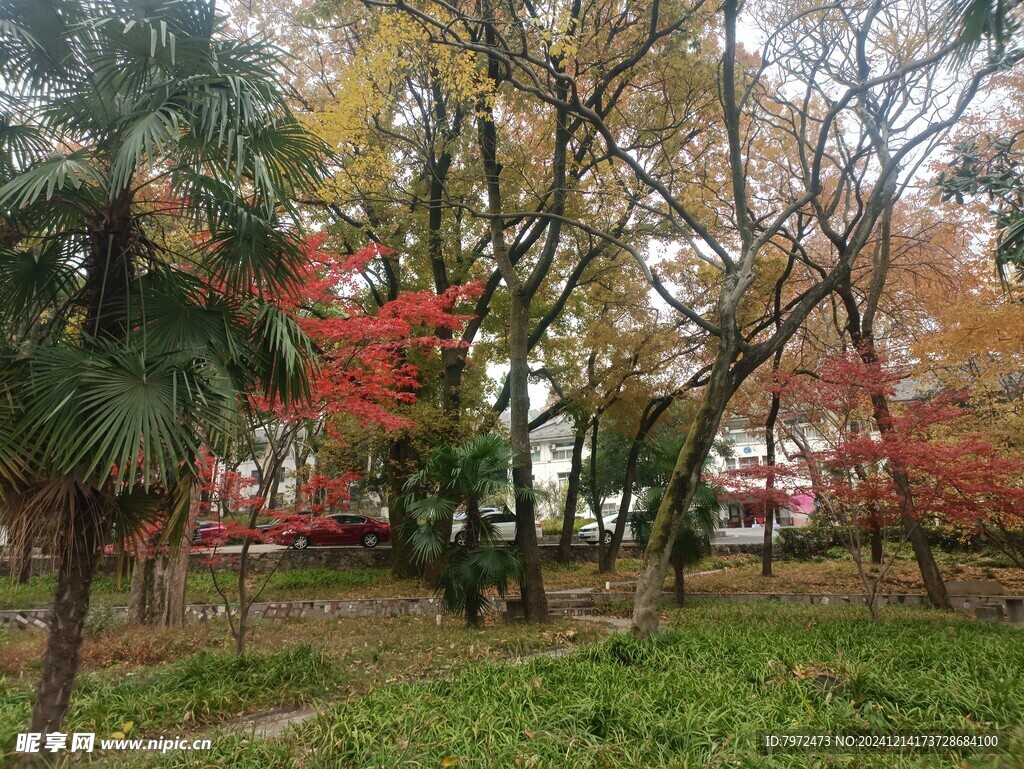 园林景观