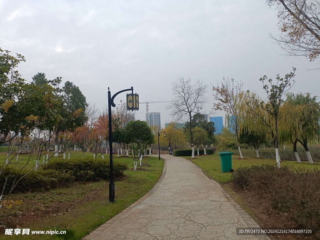 绿化景观