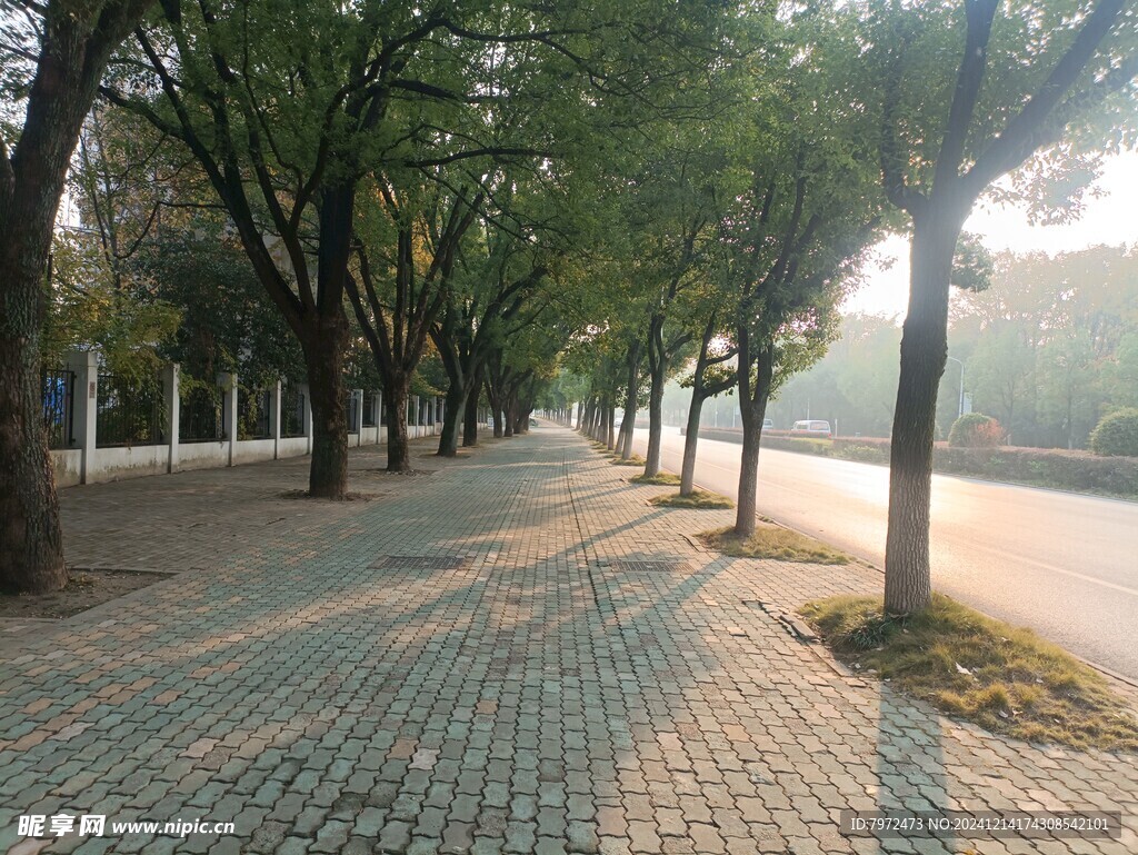 园林景观