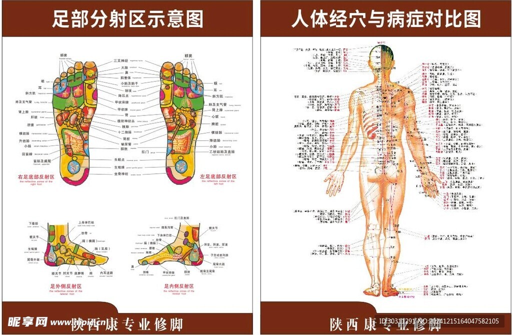 沐足穴位