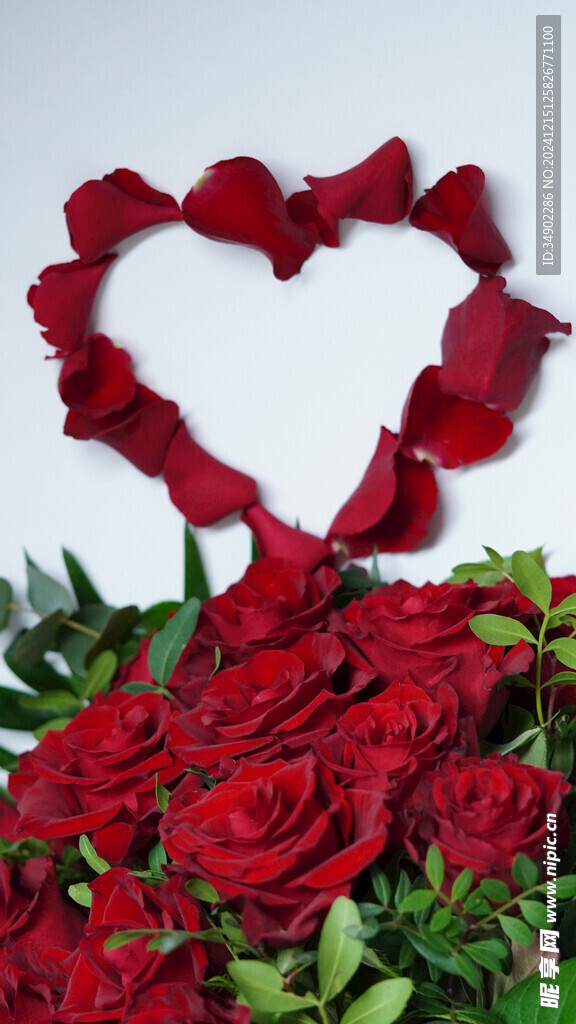 红色玫瑰花
