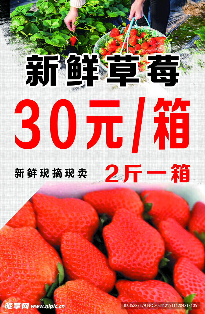 草莓广告