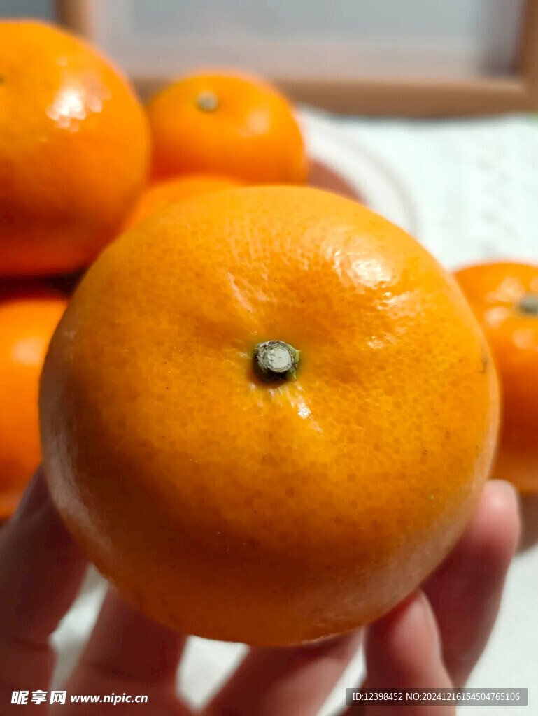 沃柑