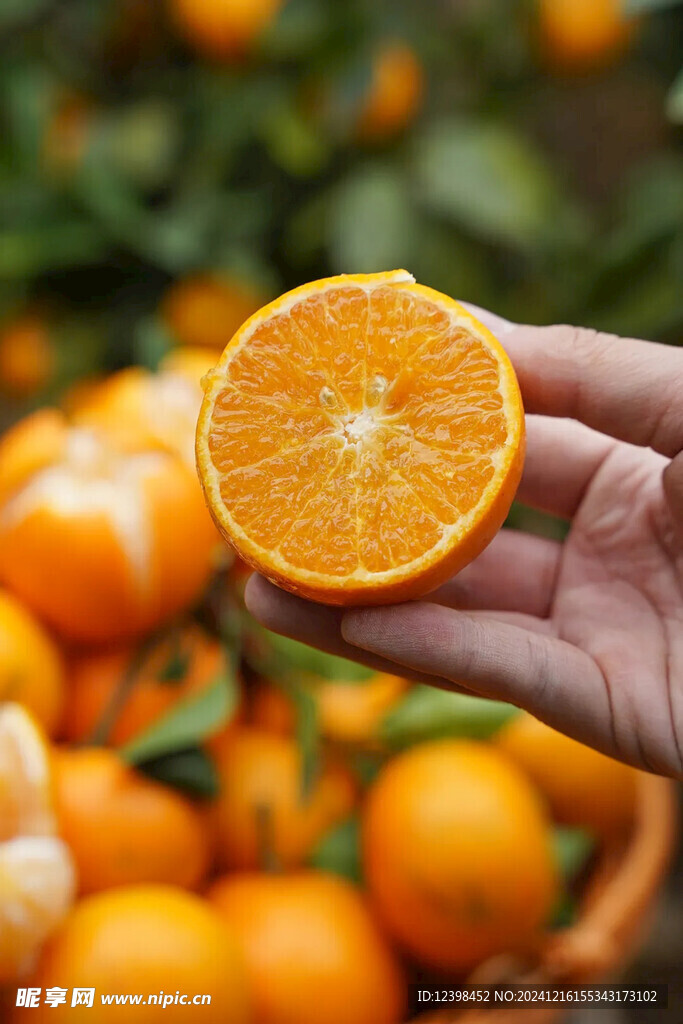 沃柑