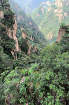 大山高山 
