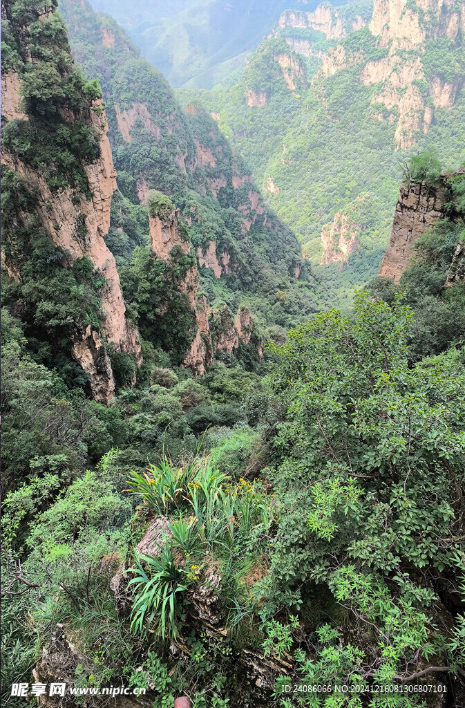 大山高山 