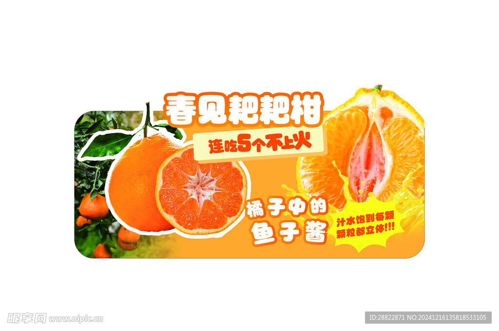 春见耙耙柑