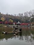 湖面