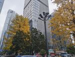 金融城
