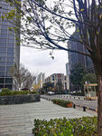 城市建筑