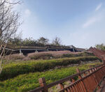 马鞍山山野