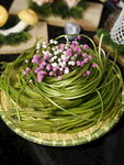 云南水性杨花 火锅涮菜 云南菜