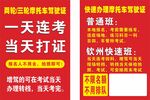 驾校招生 
