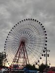 公园  摩天轮