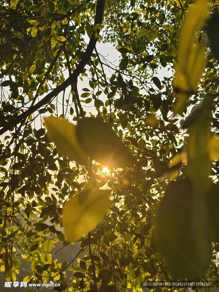 阳光