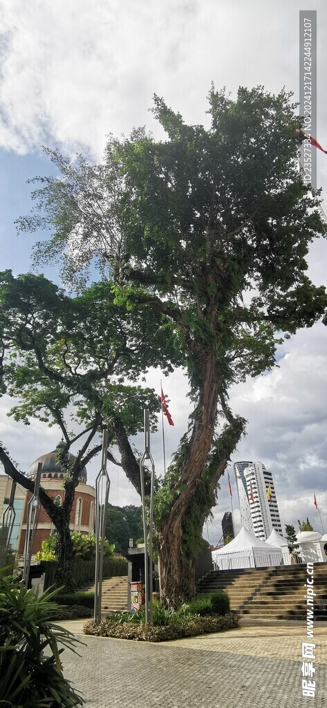 马来西亚风光