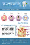 龋齿的发展过程