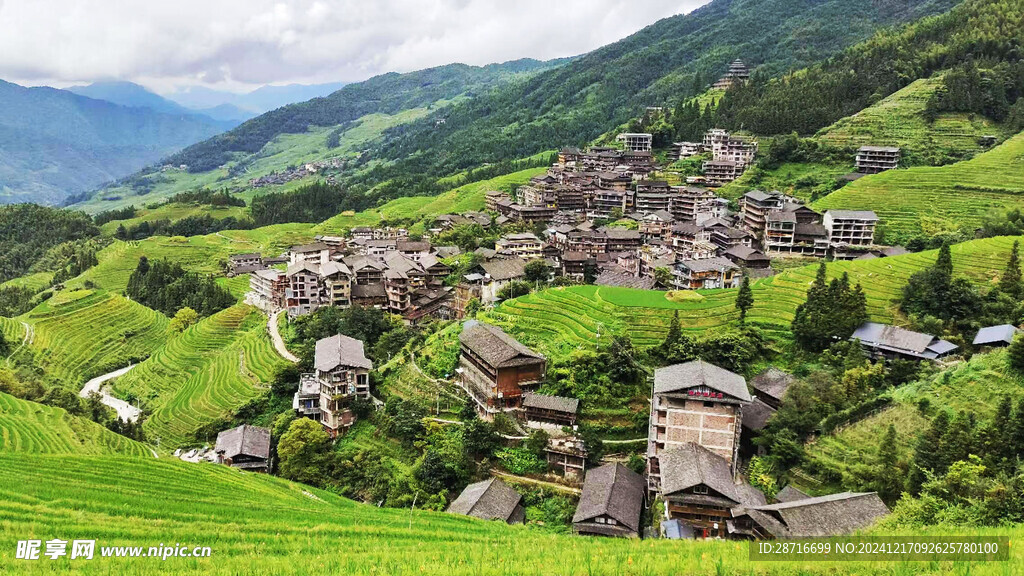 龙脊梯田