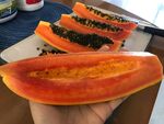 木瓜