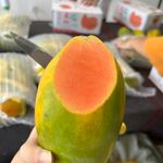 木瓜