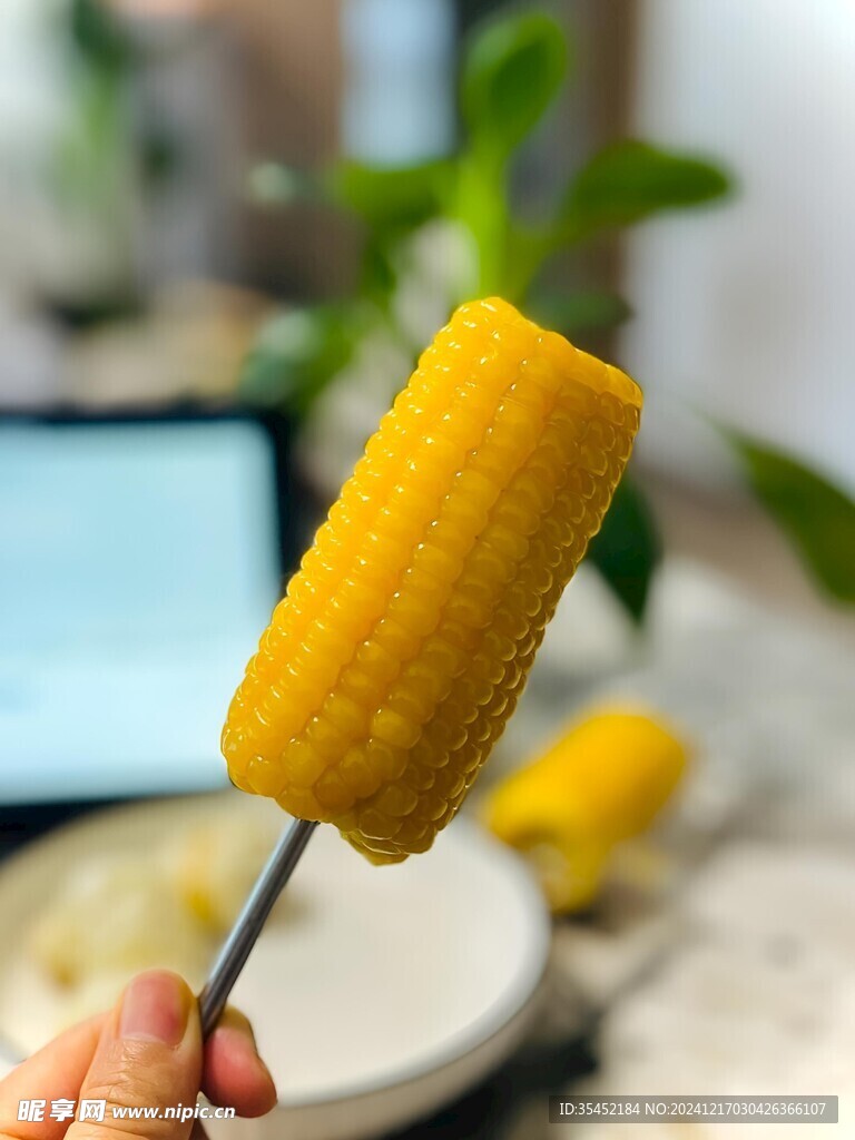 黄糯玉米
