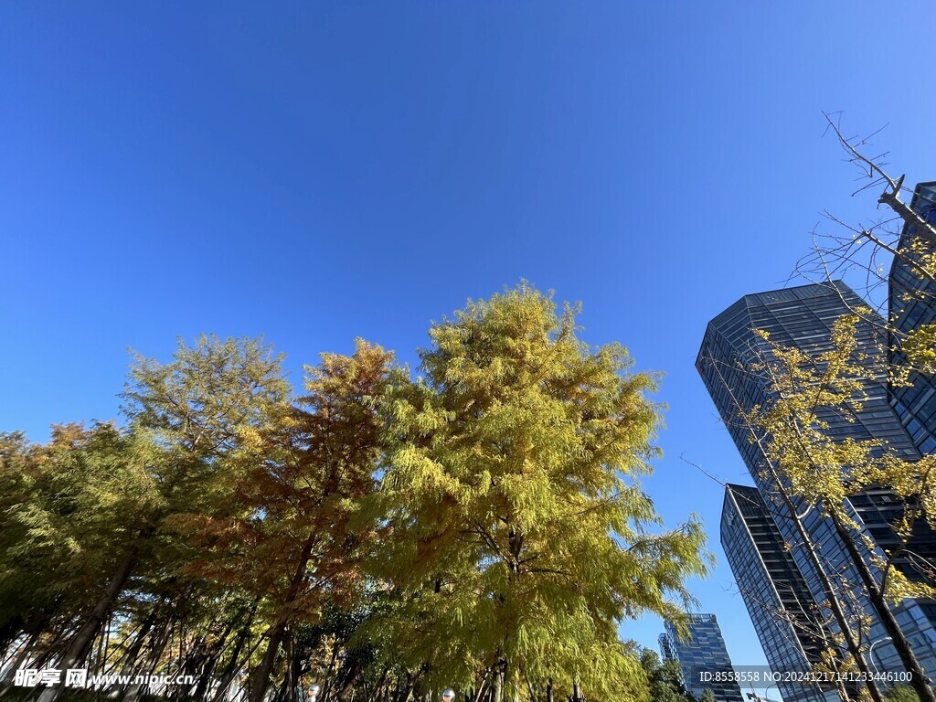 秋天风景