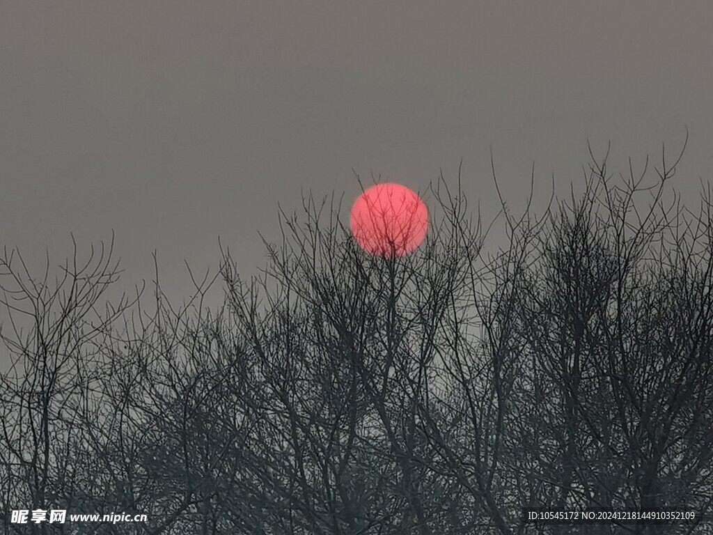 美丽的红日