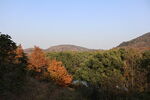大山 