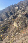 绵延高山  