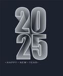 立体2025年