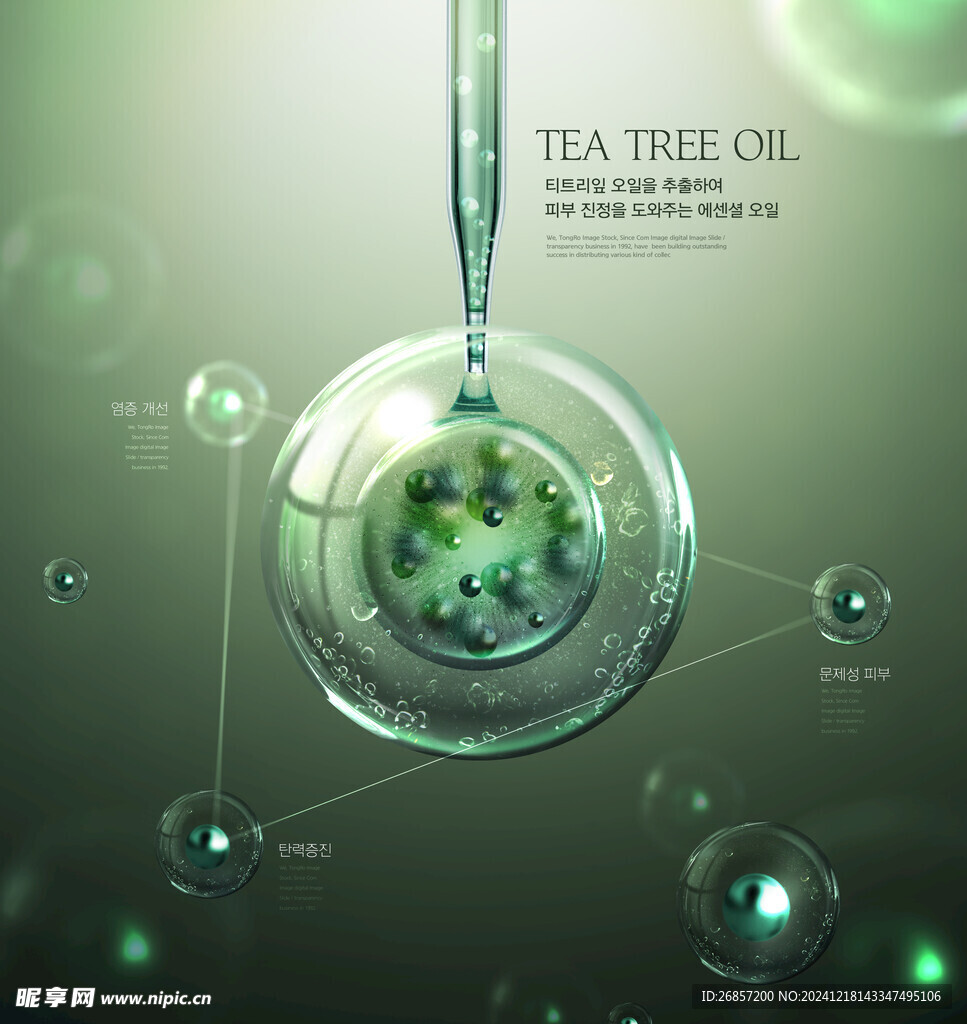 绿色气泡细胞生物